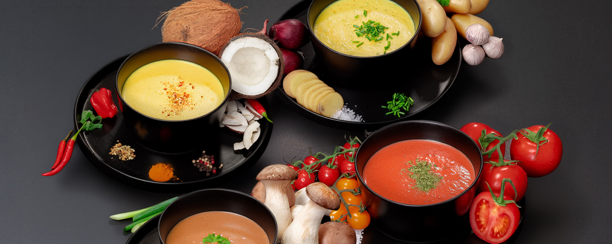 Warmup High Protein Fertiggerichte Suppen – alle 4 Sorten Kartoffel Tomate Pilz Kokos Curry vegan