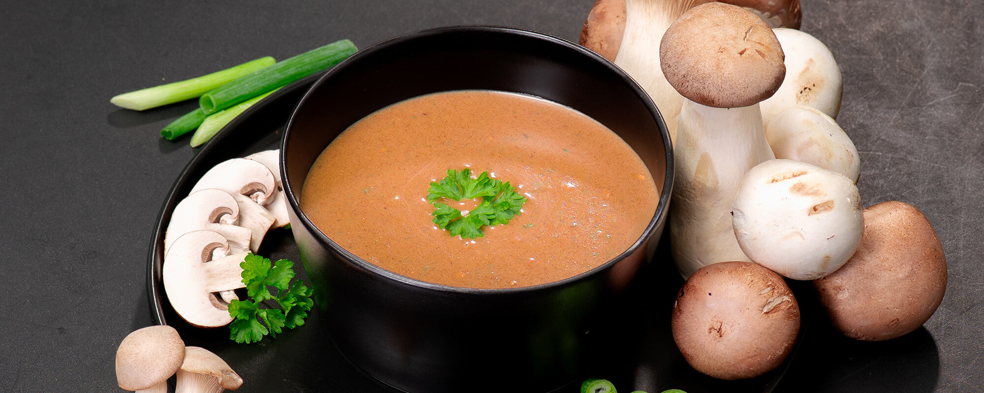 Warmup High Protein Fertiggerichte Suppe Pilz – cremige Pilzsuppe vegan mit frischen Waldpilzen