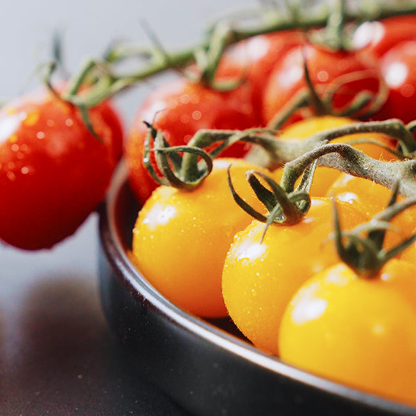 High Protein Fertiggerichte Tomaten Suppe