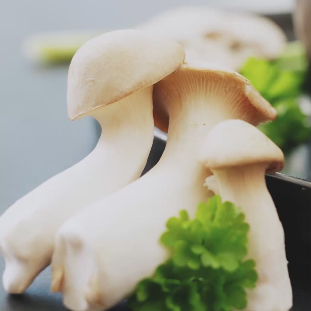 Warmup High Protein Fertiggerichte Suppen alle Sorten vegan 